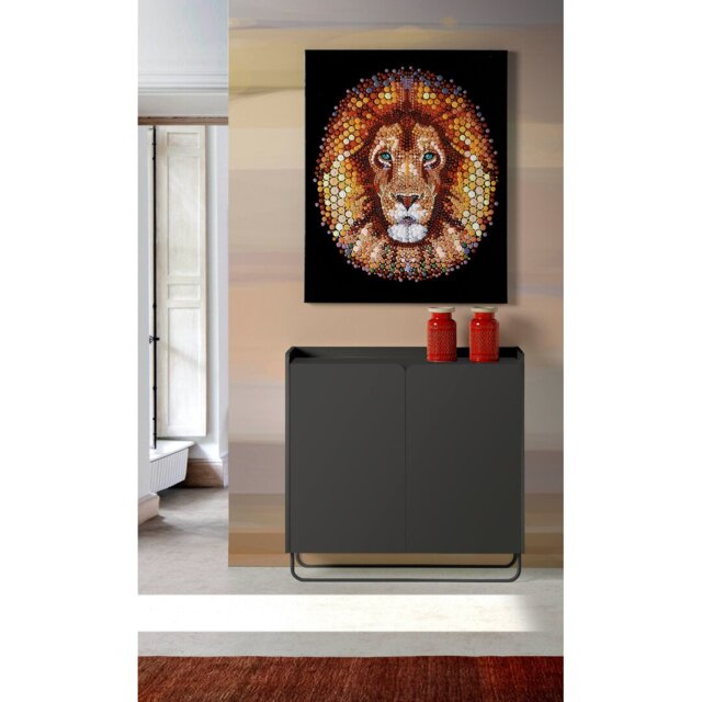 15 Pair Shoe Storage Cabinet