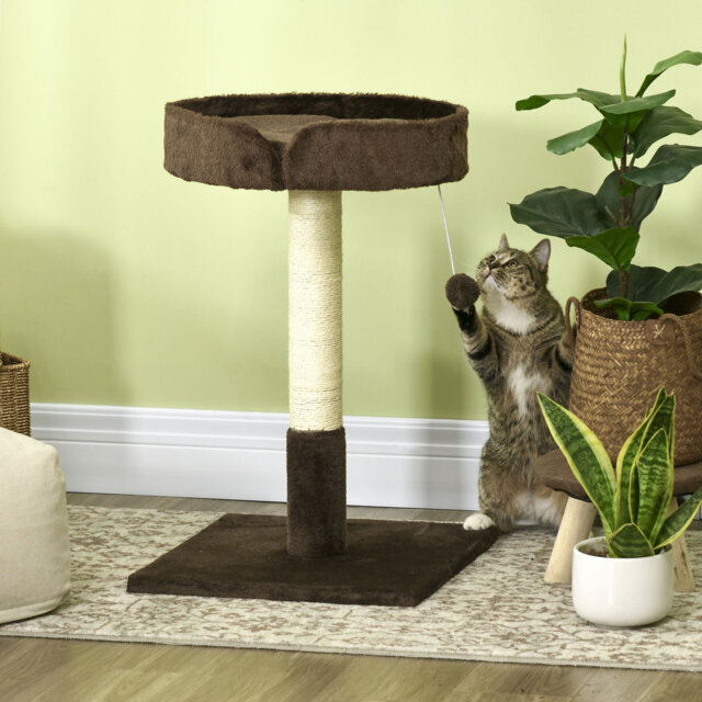 177.8cm H Cat Tree