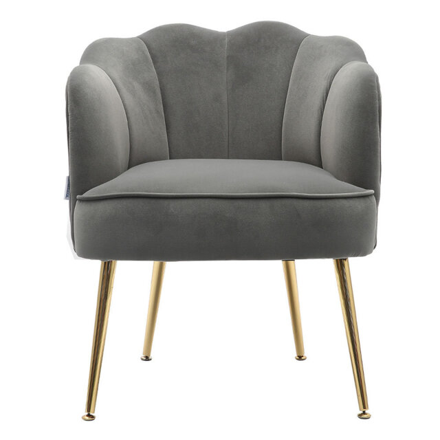 Casual Frosted Velvet Armchair Petal Backrest with Golden Metal Legs
