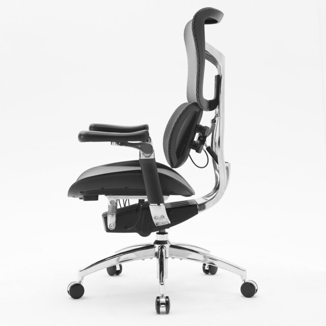 Ergonomic Office Chair, with Dual Dynamic Lumbar Support, 6D Coordinated Armrest