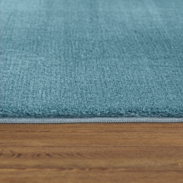Cretien 100% Polyester Turquoise Outdoor Rug