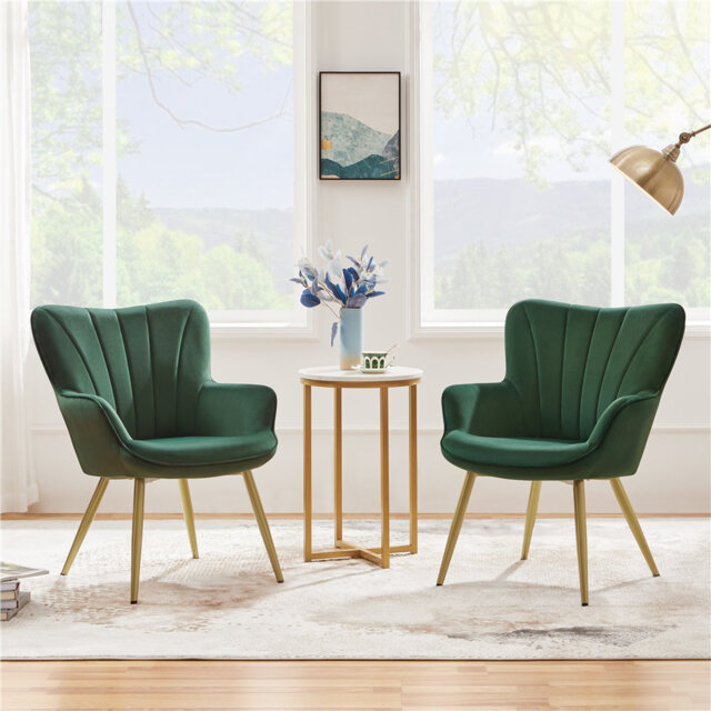 color 125kg Load Capacity Modern Accent Chair with Wing Side and Metal Legs