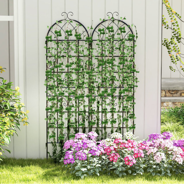 Metal Arched Trellis