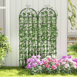 Metal Arched Trellis