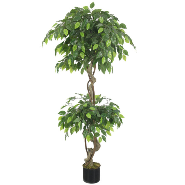 Artificial Japanese Fruticosa 150cm 5ft Ficus Tree Green Realistic Faux Plant
