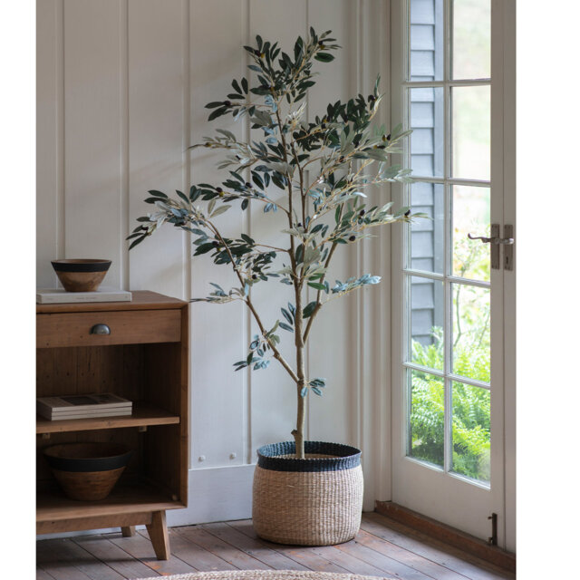 182 cm H Faux Olive Tree Plant in Plastic Pot