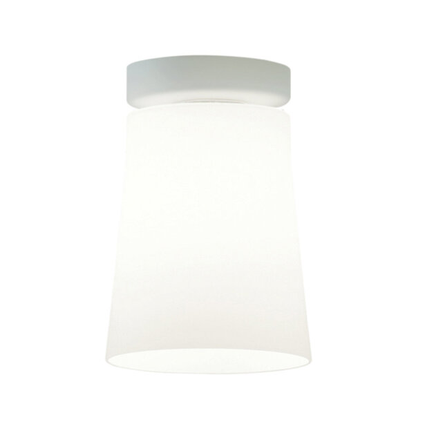 Glass Flush Mount