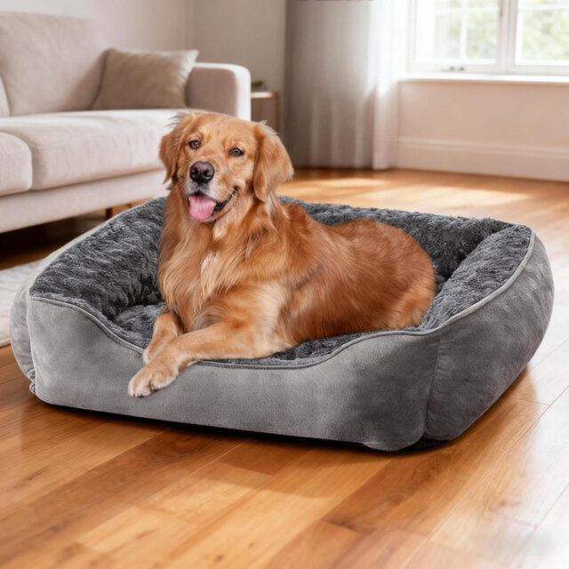 Pet Bed