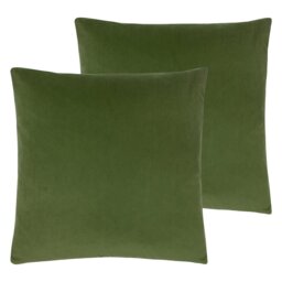 Strader Feathers Scatter Cushion with Filling