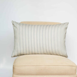 Striped Blue Cushion
