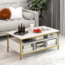Coffee Table with Storage