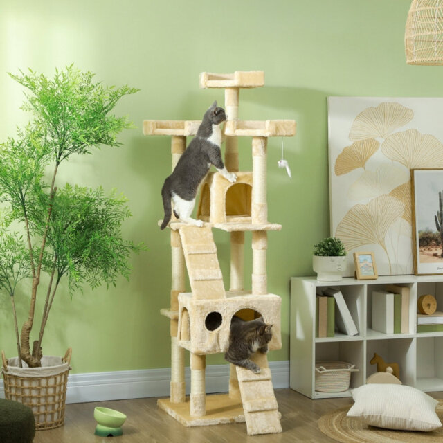 173cm H Cat Tree