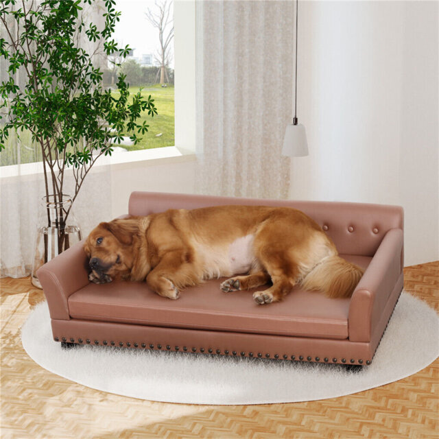 Dog Sofa