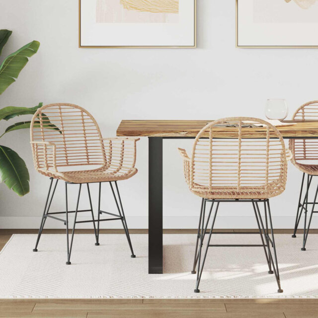 Dining Chair 2 Pcs Rattan And Iron Modern Seating Room Furniture Living