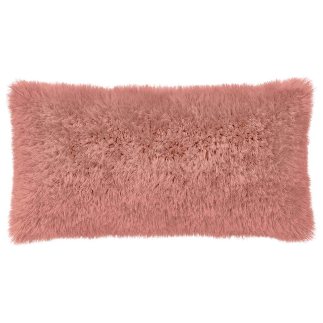 Cushion