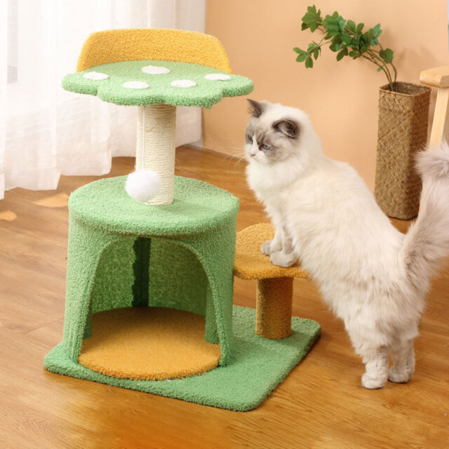 Scratching Post