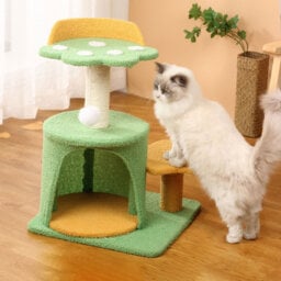 Scratching Post