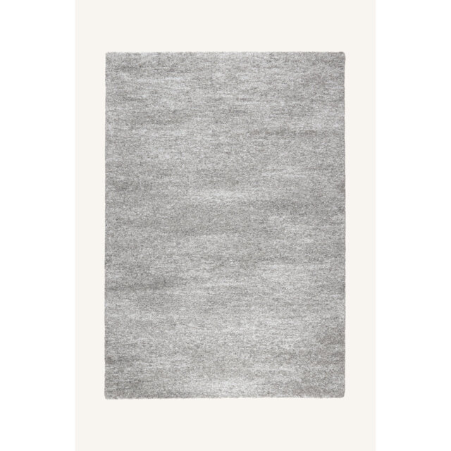 Loistine Machine Woven Grey Rug