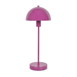 Vienda Metal Novelty Lamp