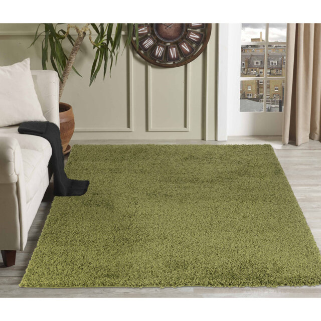 Esterly Shaggy Green Area Rug
