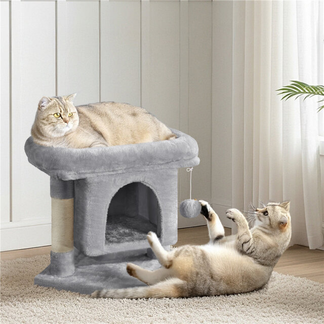 50cm H Cat Tree