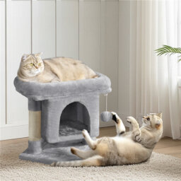 50cm H Cat Tree