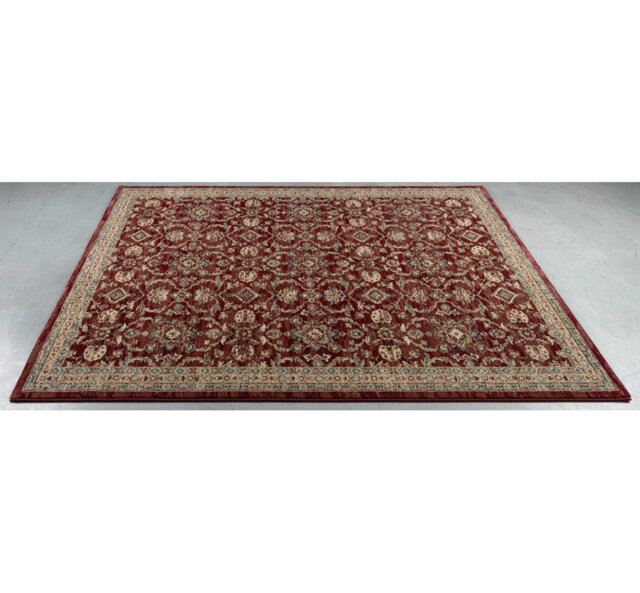 Rectangle Oriental Area Rug