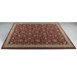 Rectangle Oriental Area Rug