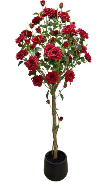 Arrangement