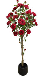 Arrangement