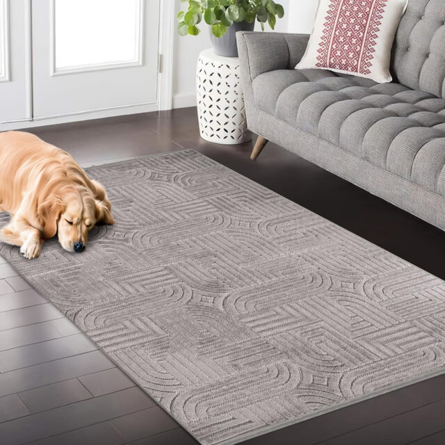 Soft Area Rug for Bedroom Floor Mats Medium Pile Entryway Rugs Textured Polypropylene Carpet TR001
