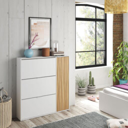 20 Pair Shoe Storage Cabinet