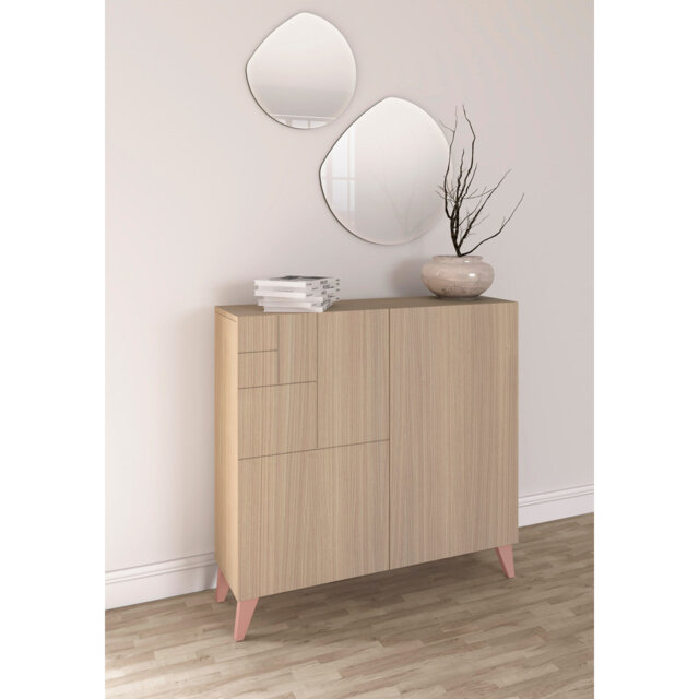 12 Pair Shoe Storage Cabinet