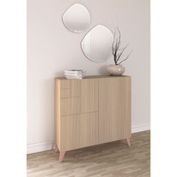 12 Pair Shoe Storage Cabinet