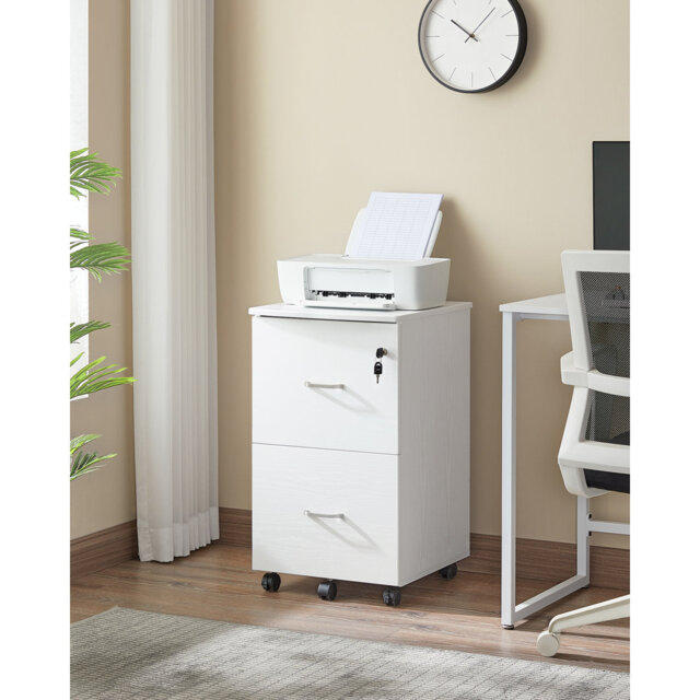 Ayia 2 Drawer Filing Cabinet