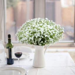 TRIXES @Home Gypsophila Arrangement