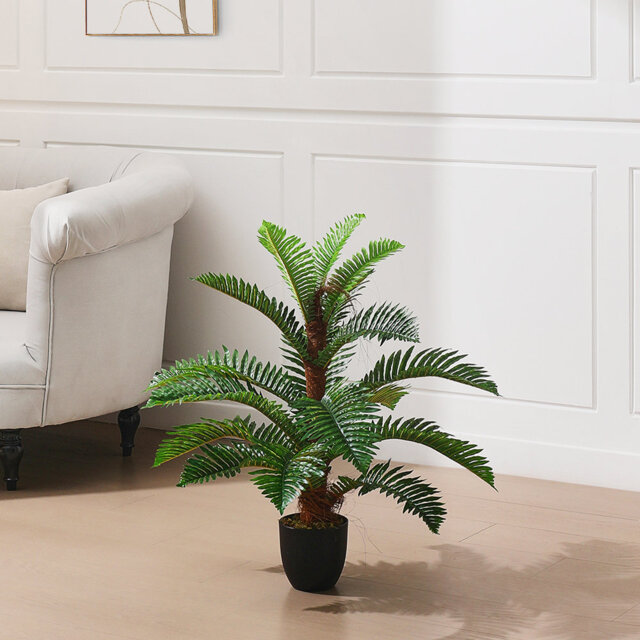 90cm Plant