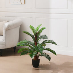 90cm Plant