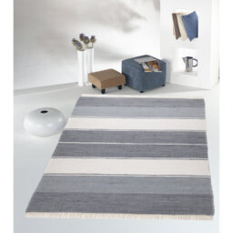Leonhardt Hand Woven Cotton Indoor Rug