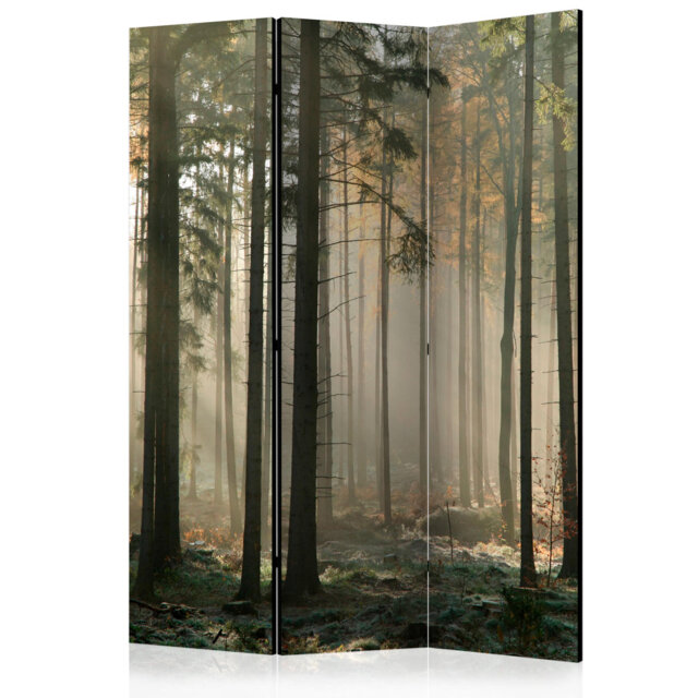 Room Divider - Foggy November Morning [Room Dividers]