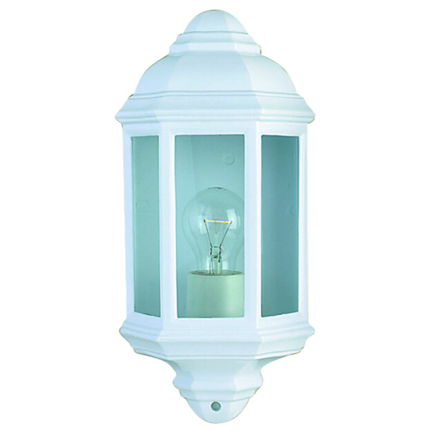 Casady Powder Coated Finish Outdoor Wall Lantern