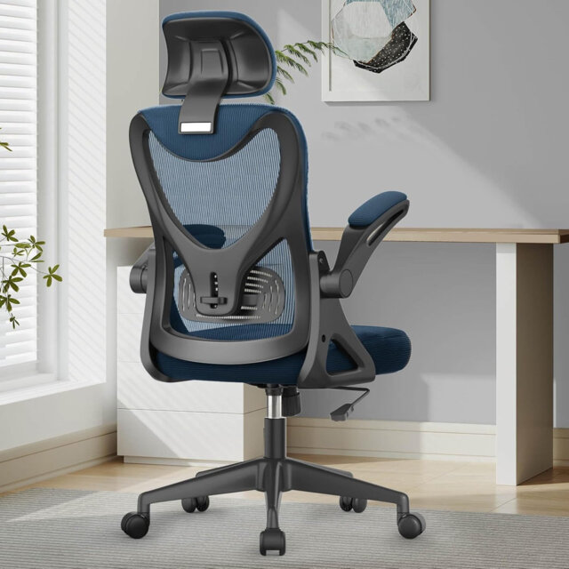 Ergonomic Office Chair, Computer Chair, Mesh Chair