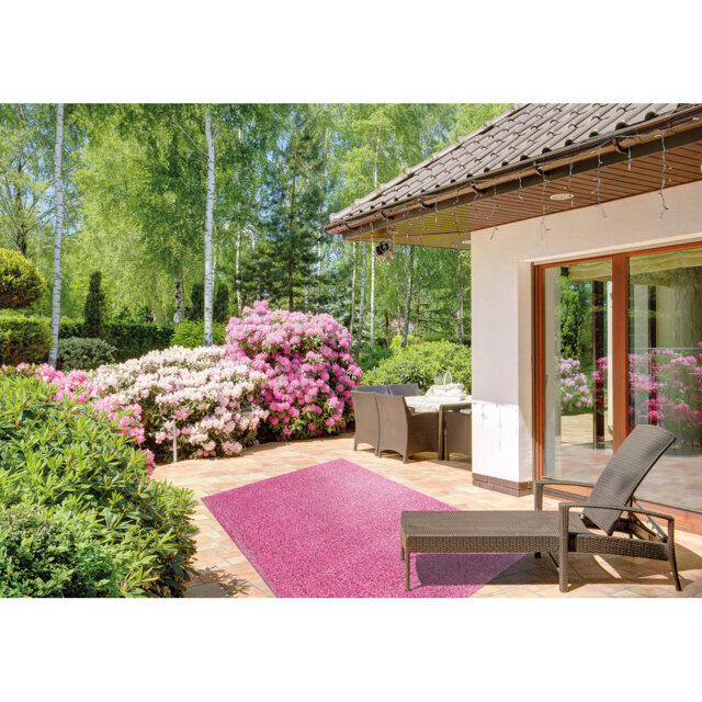 Keenesburg Poppy Shaggy Pink Indoor/Outdoor Rug