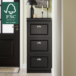 Moriah 12 Pair Shoe Storage Cabinet