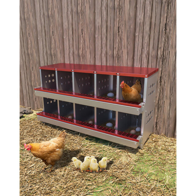 6.84mÂ² Chicken Coop