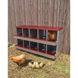 6.84mÂ² Chicken Coop