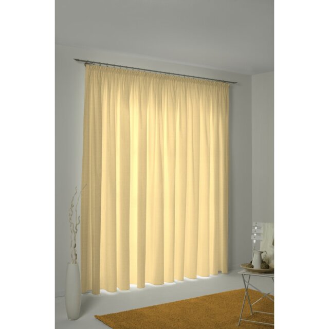 Salguero Pencil Pleat Opaque Curtain
