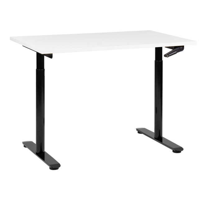 Amarianna Height Adjustable Rectangle Standing Desk
