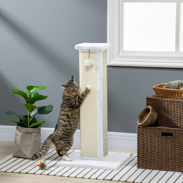 Scratching Post
