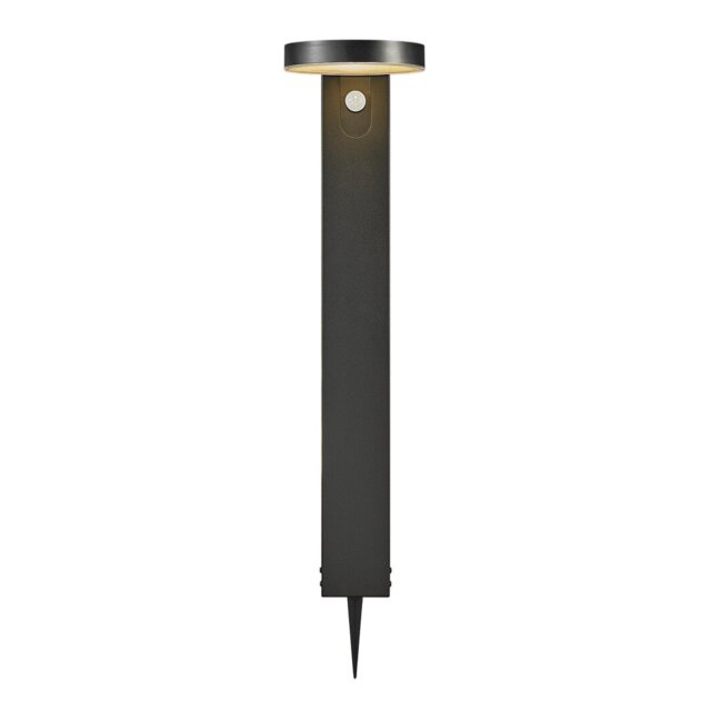 Rica Black Solar Powered Metal Pathway Light